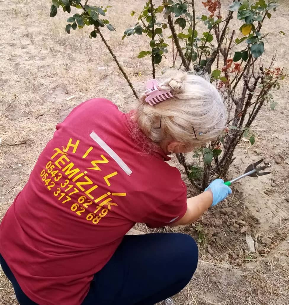 Bahçe Bakımı Bahçe Bakımı